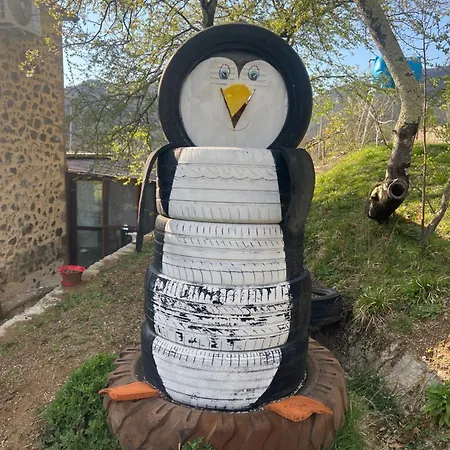 캠프장 Sofra Mirditore
