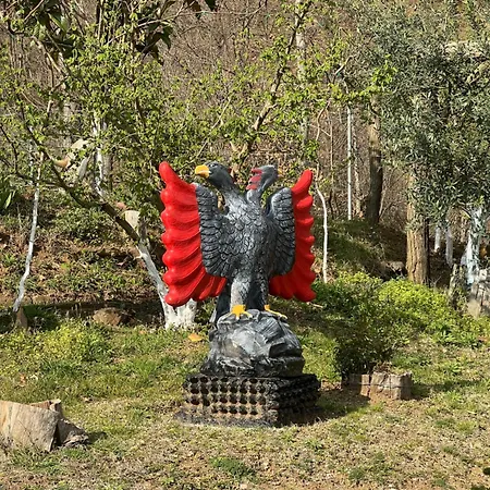 캠프장 Sofra Mirditore Peshqesh